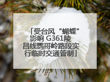 受台风“蝴蝶”影响 G361陵昌线鹦哥岭路段实行临时交通管制