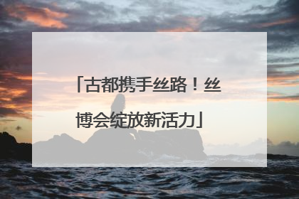 古都携手丝路！丝博会绽放新活力