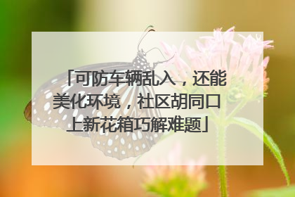 可防车辆乱入，还能美化环境，社区胡同口上新花箱巧解难题