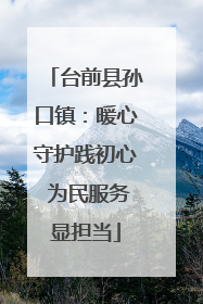 台前县孙口镇：暖心守护践初心 为民服务显担当