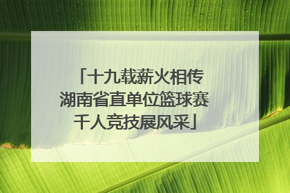 十九载薪火相传 湖南省直单位篮球赛千人竞技展风采