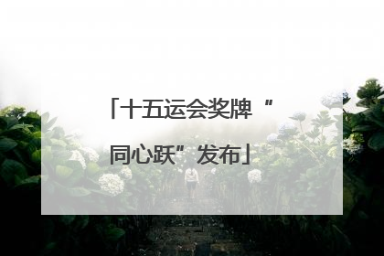 十五运会奖牌“同心跃”发布