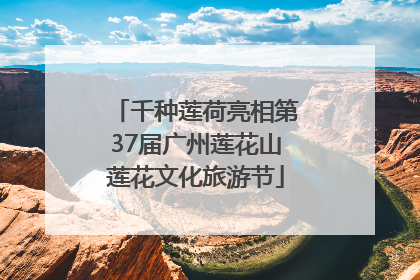 千种莲荷亮相第37届广州莲花山莲花文化旅游节