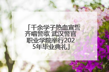 千余学子热血宣誓齐唱警歌 武汉警官职业学院举行2025年毕业典礼