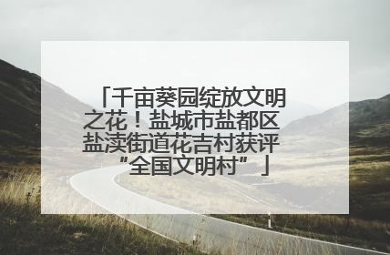千亩葵园绽放文明之花！盐城市盐都区盐渎街道花吉村获评“全国文明村”