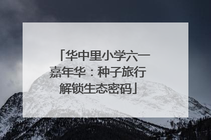 华中里小学六一嘉年华：种子旅行解锁生态密码