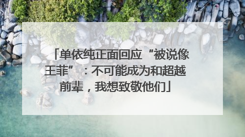 单依纯正面回应“被说像王菲”：不可能成为和超越前辈，我想致敬他们