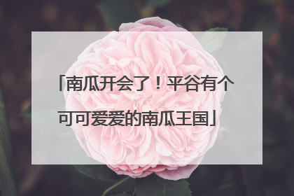 南瓜开会了！平谷有个可可爱爱的南瓜王国
