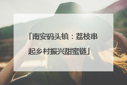 南安码头镇：荔枝串起乡村振兴甜蜜链