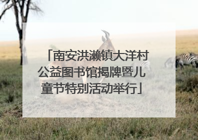 南安洪濑镇大洋村公益图书馆揭牌暨儿童节特别活动举行
