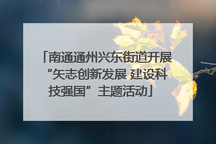 南通通州兴东街道开展“矢志创新发展 建设科技强国”主题活动