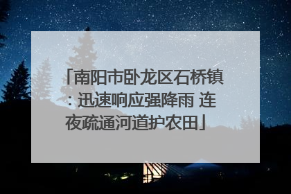 南阳市卧龙区石桥镇：迅速响应强降雨 连夜疏通河道护农田