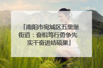 南阳市宛城区五里堡街道：奋楫笃行勇争先 实干奋进结硕果