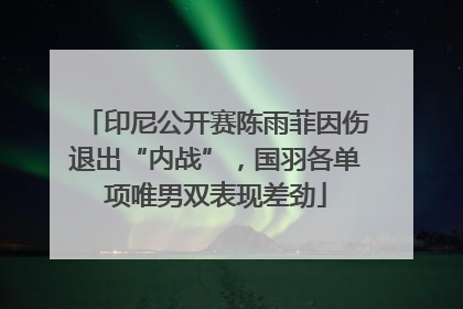 印尼公开赛陈雨菲因伤退出“内战”，国羽各单项唯男双表现差劲