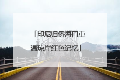 印尼归侨海口重温琼崖红色记忆
