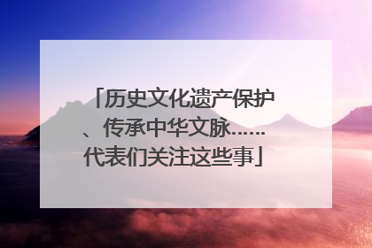 历史文化遗产保护、传承中华文脉……代表们关注这些事