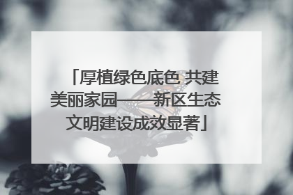 厚植绿色底色 共建美丽家园——新区生态文明建设成效显著