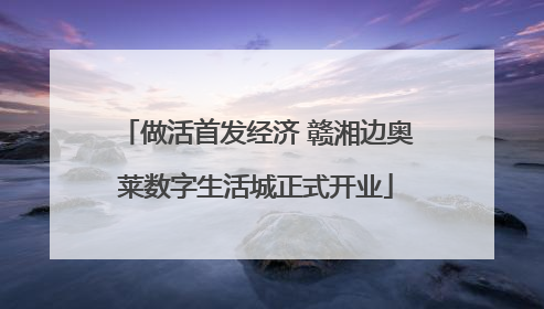 做活首发经济 赣湘边奥莱数字生活城正式开业