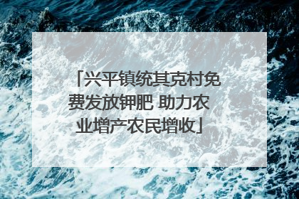 兴平镇统其克村免费发放钾肥 助力农业增产农民增收