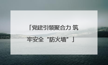 党建引领聚合力 筑牢安全“防火墙”