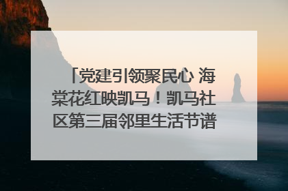 党建引领聚民心 海棠花红映凯马！凯马社区第三届邻里生活节谱写幸福新篇章