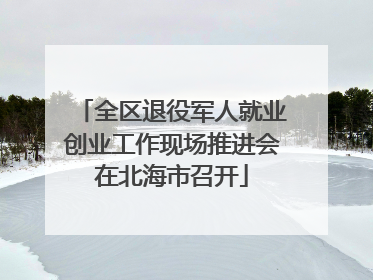 全区退役军人就业创业工作现场推进会在北海市召开