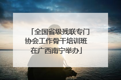 全国省级残联专门协会工作骨干培训班在广西南宁举办