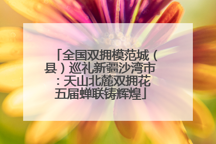 全国双拥模范城（县）巡礼新疆沙湾市：天山北麓双拥花 五届蝉联铸辉煌