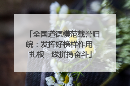 全国道德模范载誉归皖：发挥好榜样作用 扎根一线拼搏奋斗