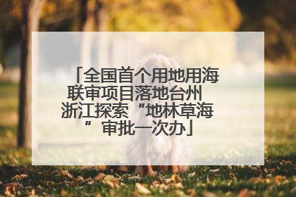 全国首个用地用海联审项目落地台州 浙江探索“地林草海”审批一次办
