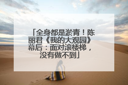 全身都是淤青！陈丽君《我的大观园》幕后：面对滚楼梯，没有做不到