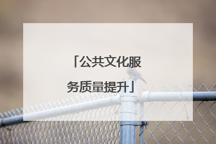 公共文化服务质量提升