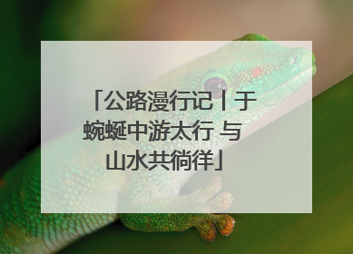公路漫行记丨于蜿蜒中游太行 与山水共徜徉