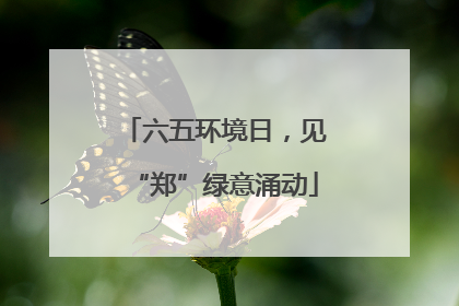六五环境日，见“郑”绿意涌动