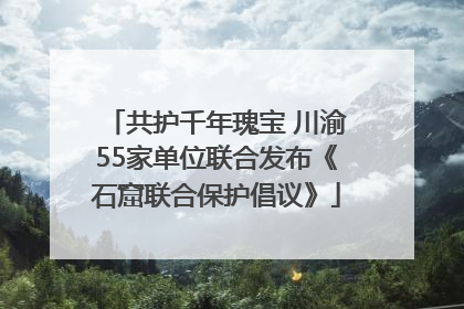 共护千年瑰宝 川渝55家单位联合发布《石窟联合保护倡议》