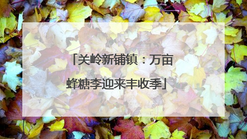 关岭新铺镇：万亩蜂糖李迎来丰收季