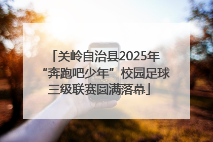 关岭自治县2025年“奔跑吧少年”校园足球三级联赛圆满落幕