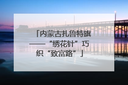 内蒙古扎鲁特旗——“绣花针”巧织“致富路”