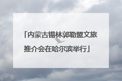 内蒙古锡林郭勒盟文旅推介会在哈尔滨举行