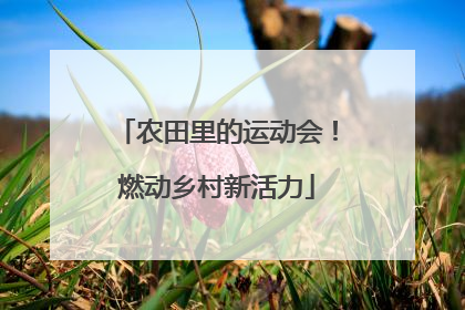 农田里的运动会！燃动乡村新活力