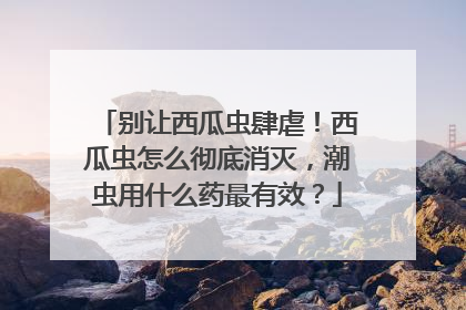 别让西瓜虫肆虐！西瓜虫怎么彻底消灭，潮虫用什么药最有效？