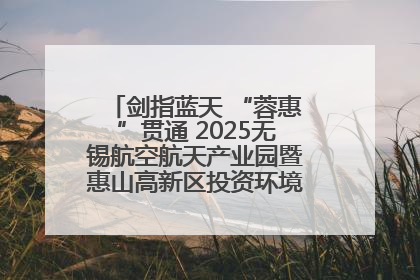剑指蓝天 “蓉惠”贯通 2025无锡航空航天产业园暨惠山高新区投资环境推介会在成都举行