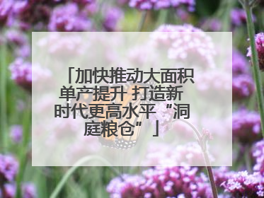加快推动大面积单产提升 打造新时代更高水平“洞庭粮仓”