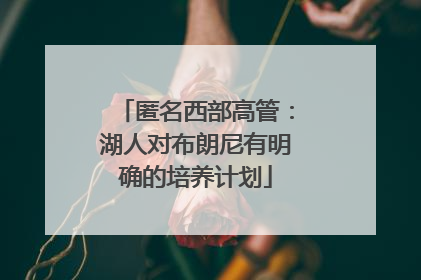 匿名西部高管：湖人对布朗尼有明确的培养计划