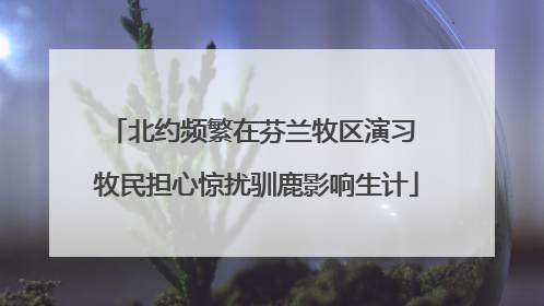 北约频繁在芬兰牧区演习 牧民担心惊扰驯鹿影响生计