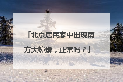 北京居民家中出现南方大蟑螂，正常吗？