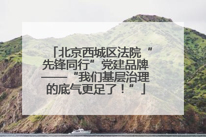 北京西城区法院“先锋同行”党建品牌——“我们基层治理的底气更足了！”