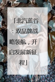 北汽蓝谷：双品牌战略领航，开启发展新征程