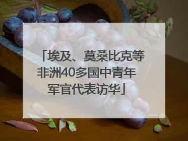 埃及、莫桑比克等非洲40多国中青年军官代表访华