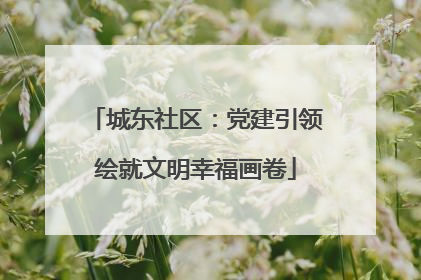 城东社区：党建引领绘就文明幸福画卷